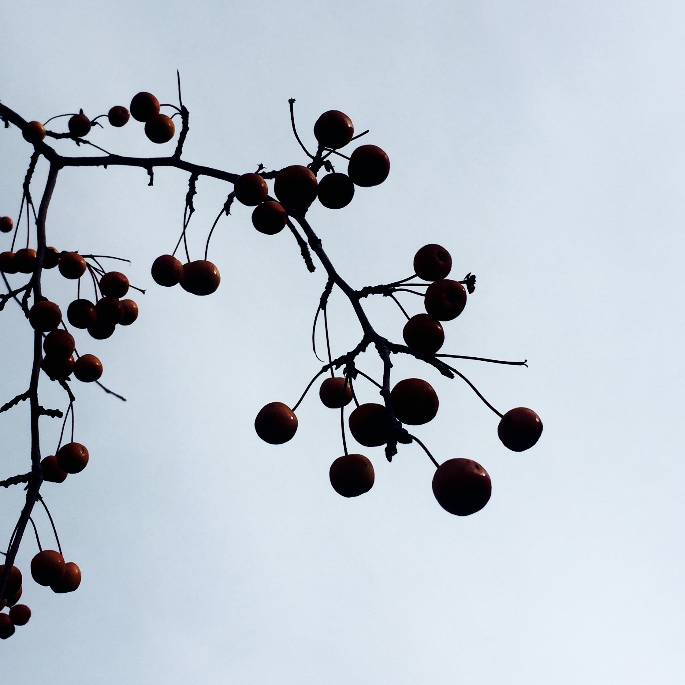 图片关键词 图片关键词