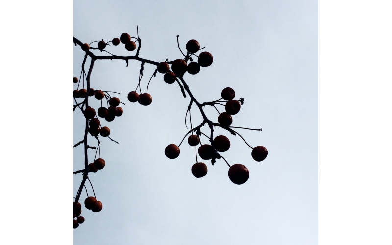 成熟设计是多年内功修炼的展现